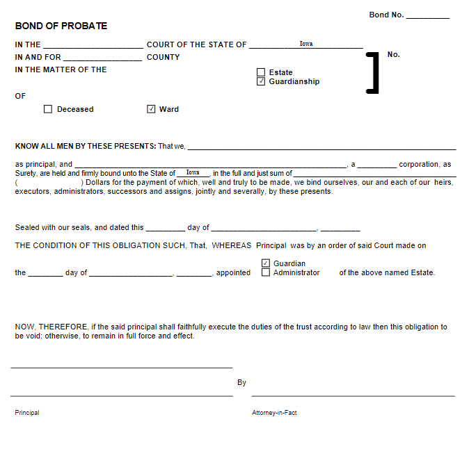 Iowa Conservator Bond Form