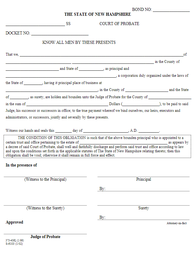 New Hampshire Guardian Bond Form