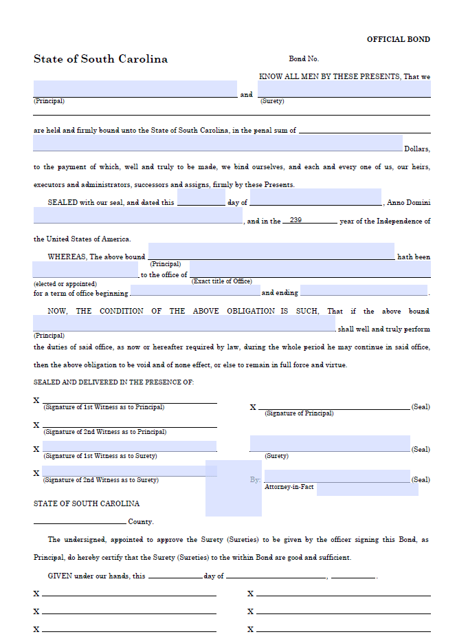 South Carolina Public Official Bond A Comprehensive Guide