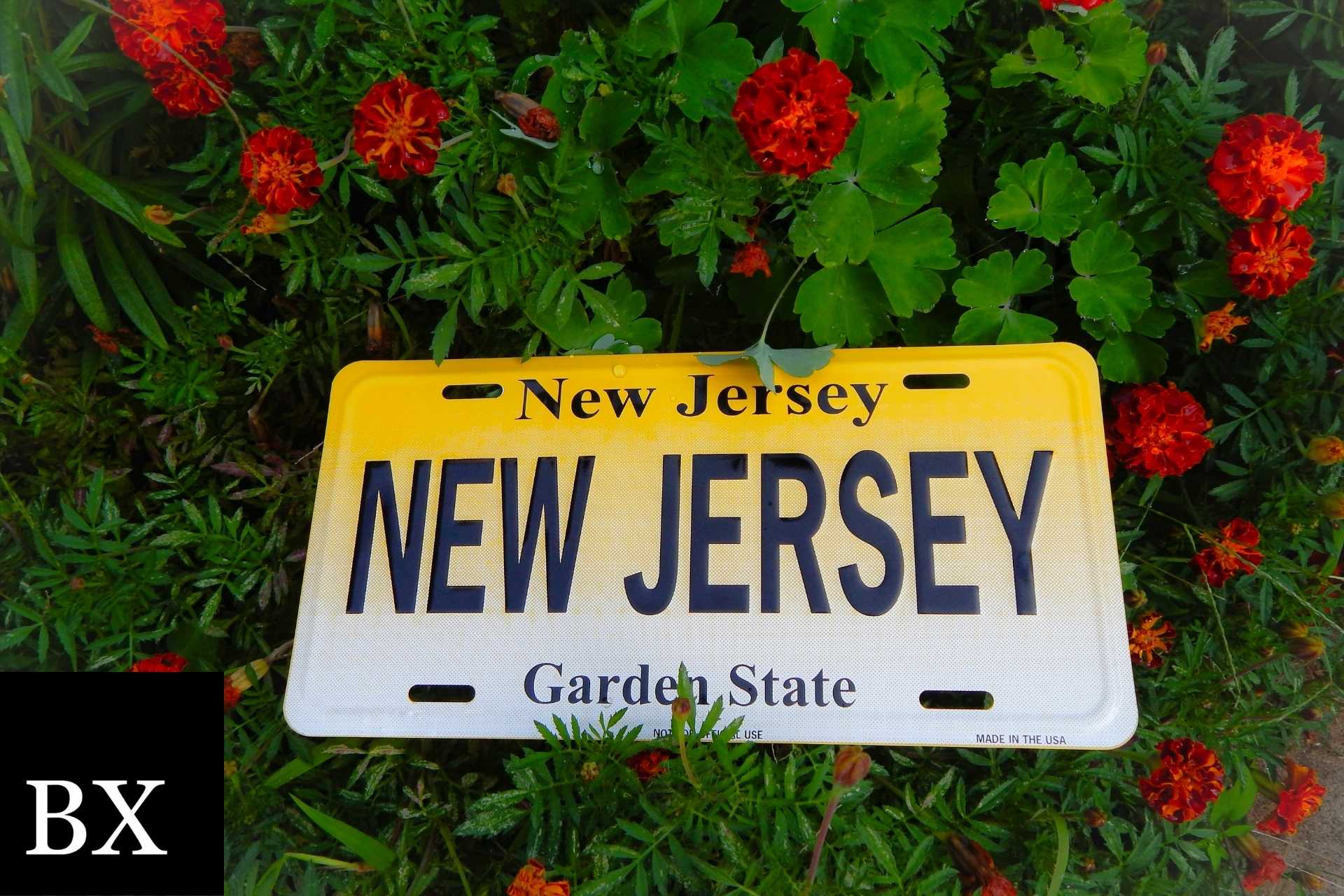 New Jersey Electrical Contractor Bond
