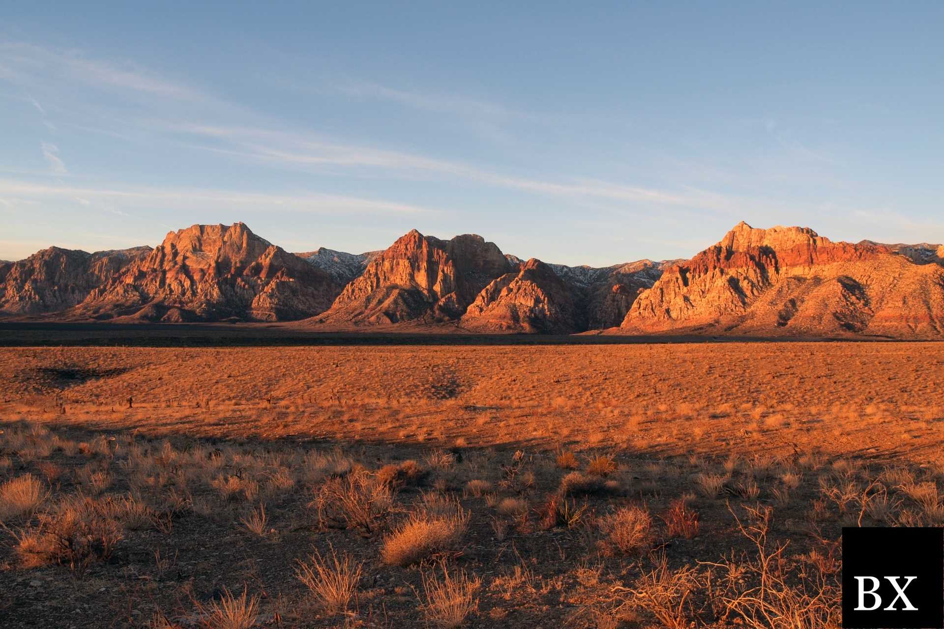 Nevada Lost Title Bond