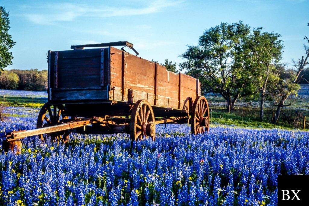 Texas Medicaid/Chip Program Performance Bond