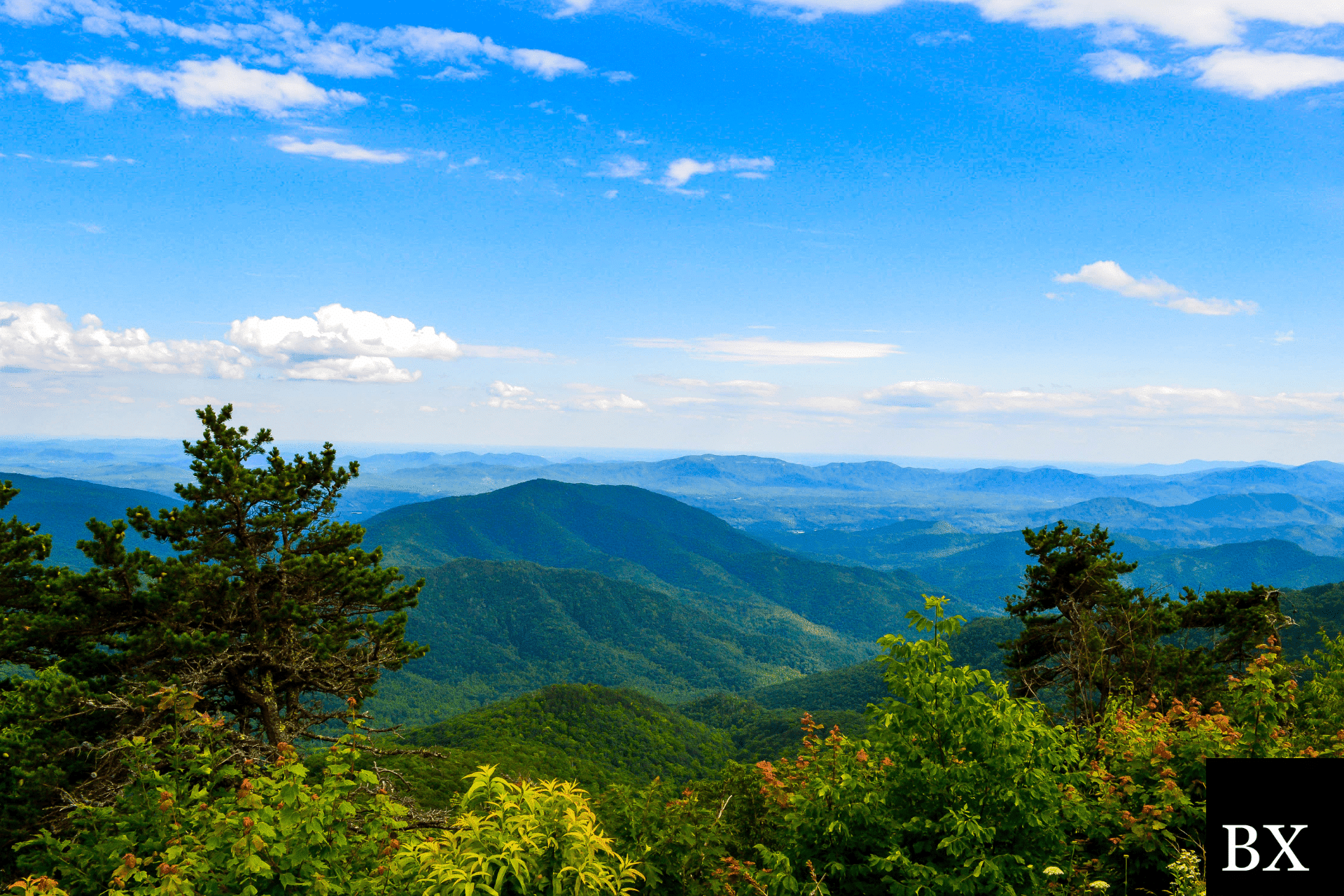 Asheville Pawnbroker Bond