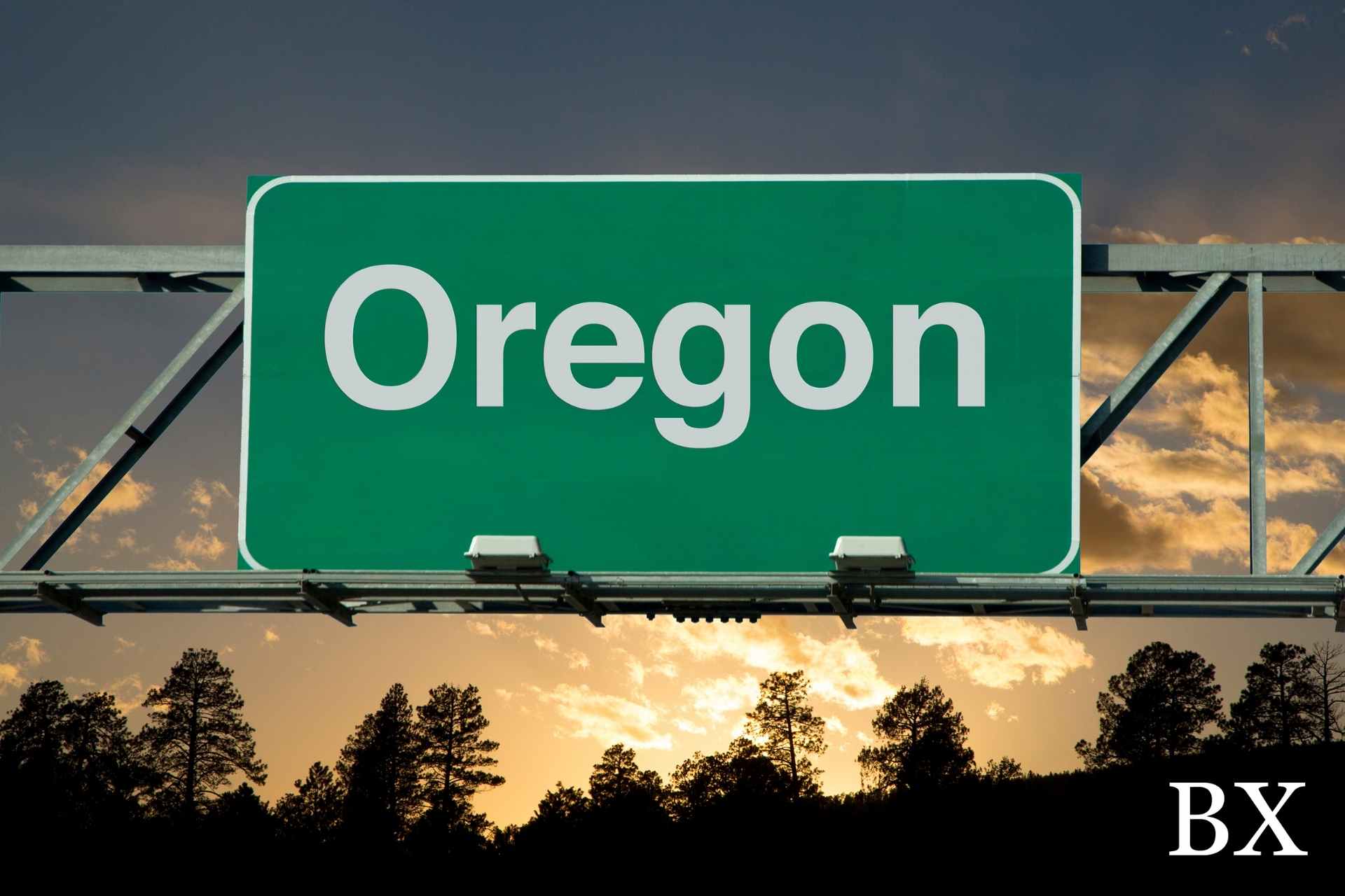 Oregon Public Works Bond