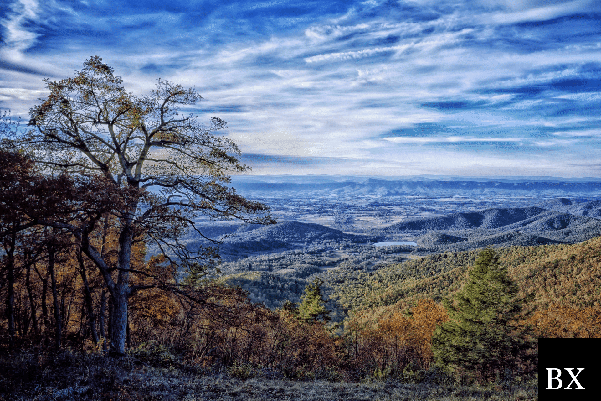 West Virginia Commissioner Bond A Comprehensive Guide